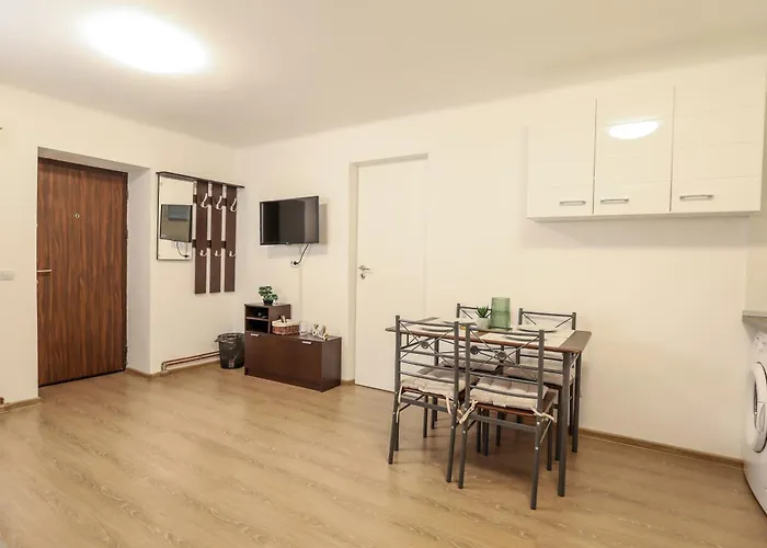 Sub-Level Urban Apartment